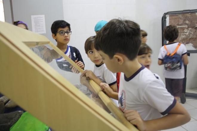 Imagem da Galeria da Notícia: Alunos da escola Anglo de Fernandópolis visitam laboratórios da FEF