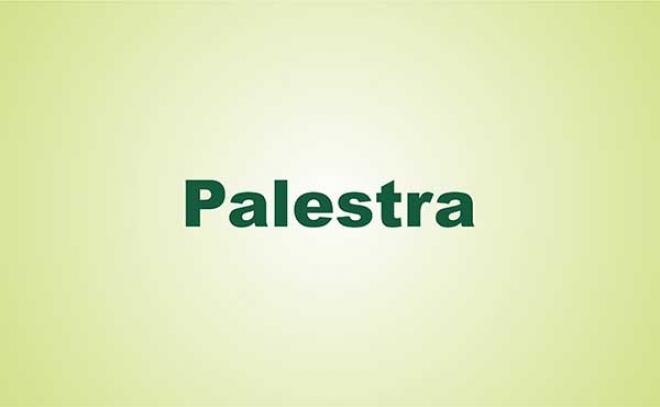 Imagem da Notícia: PALESTRA - A FISIOTERAPIA NOS USA